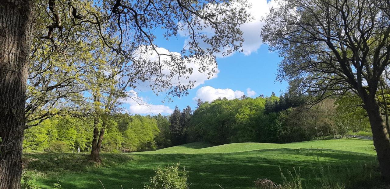 Brekendorf Ferienhaus Diedrichsen المظهر الخارجي الصورة